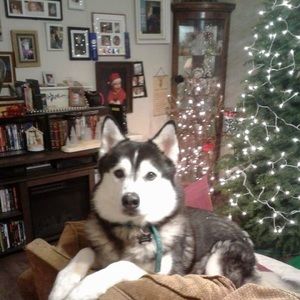 Meet your Posher, Abbey